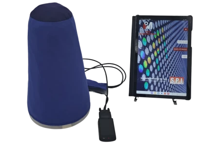 Leg prosthetic assessment